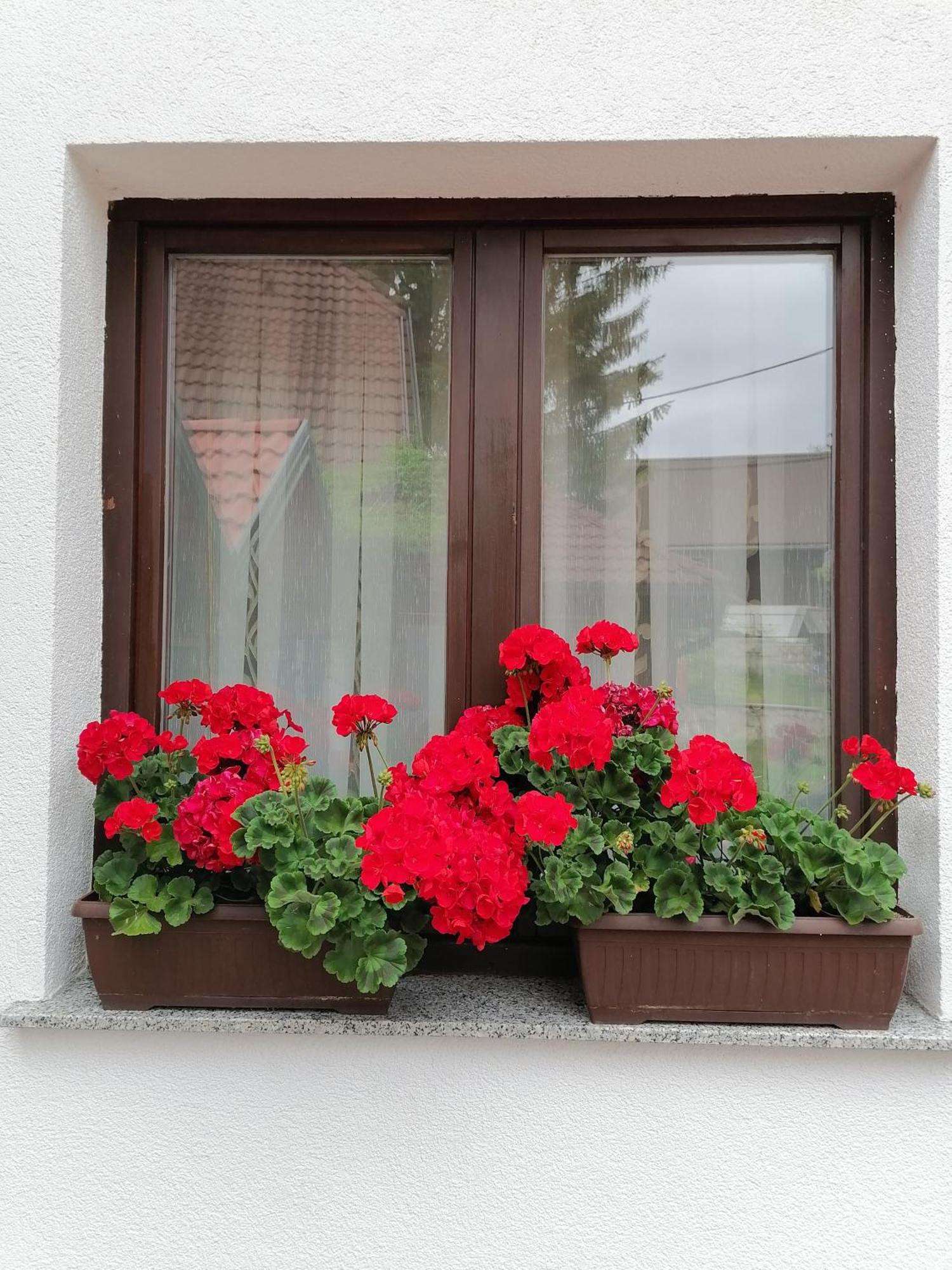 House Jezerka Otel Jezerce Oda fotoğraf